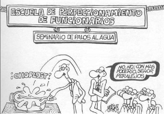 La meritocracia del constituyentista